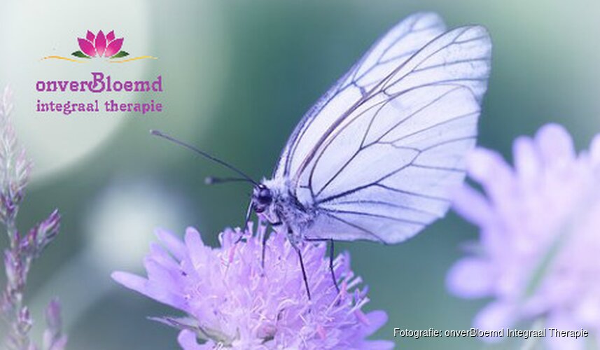 Welke ''Ik'' heeft het bij jou voor het zeggen?