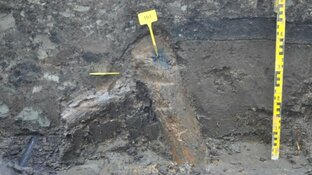 Mogelijk stukje Romeinse historie in Krommenie