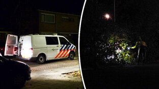 Twee jongens gearresteerd in Wormerveer na doorladen pistool