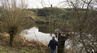 Wilgen knotten op fort Zuidwijkermeer