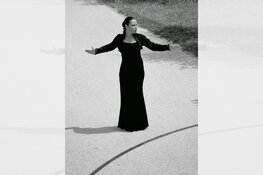 De kunst van de Flamenco